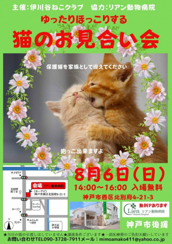 ゆったりほっこり猫のお見合い会