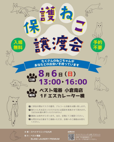 保護ねこ譲渡会