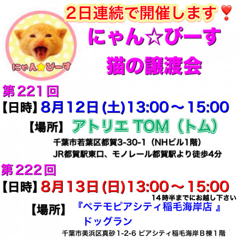 【第221回】にゃん☆ぴーす猫の譲渡会　