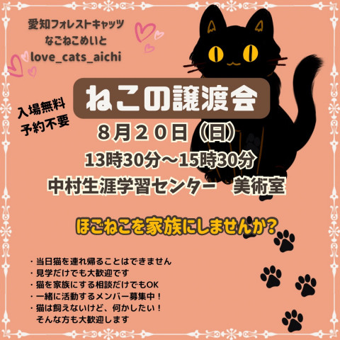 ３団体合同！保護猫譲渡会　名古屋市　子猫たくさん！