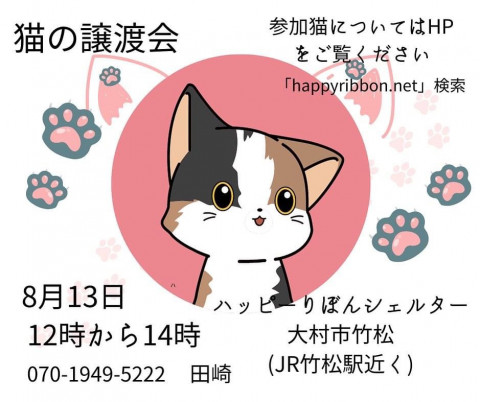 ハッピーりぼん 保護猫譲渡会