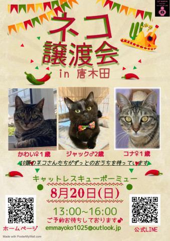 保護猫譲渡会