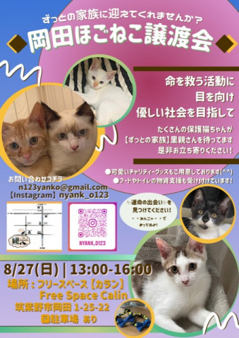 【岡田ほごねこ譲渡会】