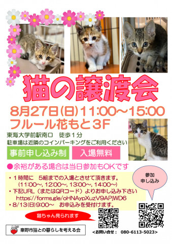 猫の譲渡会＠秦野市