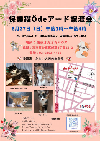 保護猫Ödeアード譲渡会