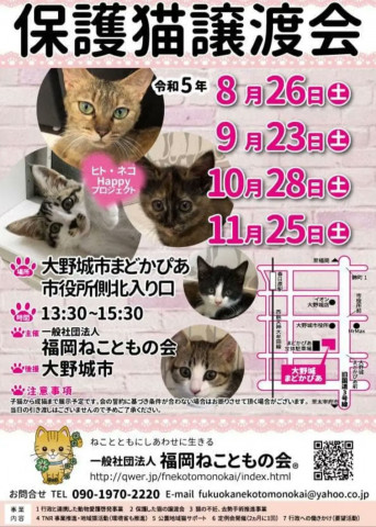 一社）福岡ねこともの会