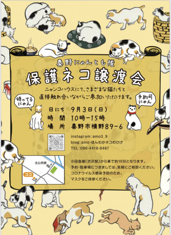 秦野『お家で保護猫譲渡会』