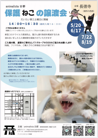 animalista古都　保護ねこの譲渡会