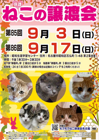 猫の譲渡会　in　名古屋市昭和生涯学習センター