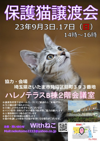 【さいたま市】９/３（日）ハレノテラス保護猫譲渡会