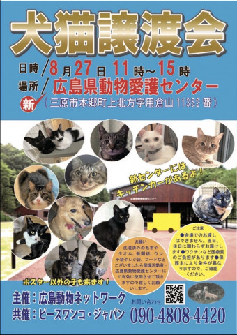 犬猫譲渡会