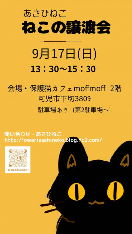 ねこの譲渡会 in 可児市