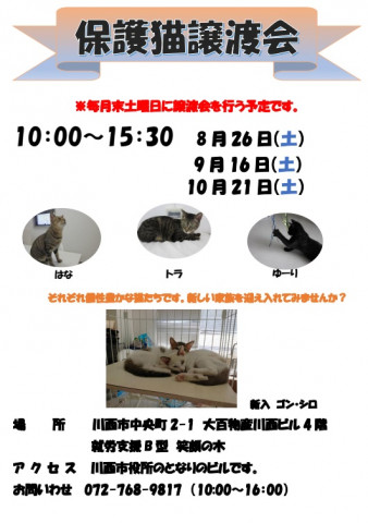 保護猫譲渡会