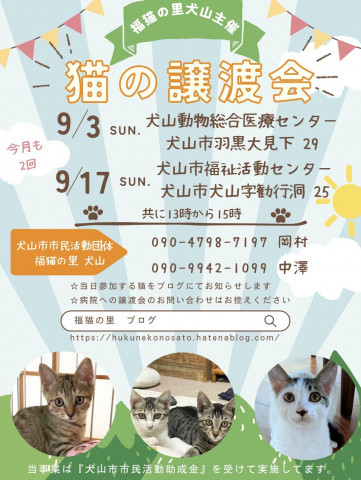 猫の譲渡会 @犬山市福祉活動センター