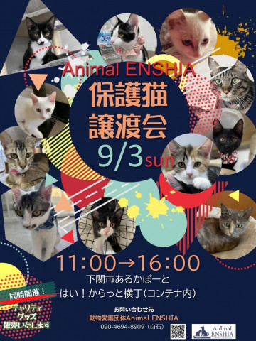 Animal ENSHIA 保護猫譲渡会