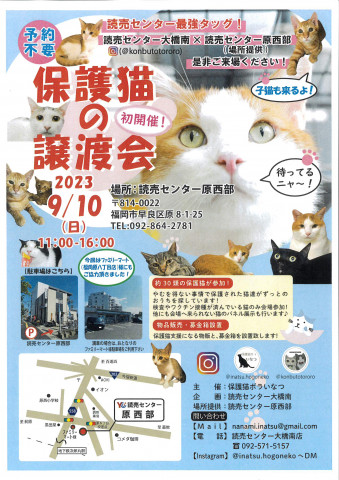 【予約不要】保護猫の譲渡会・初開催！！