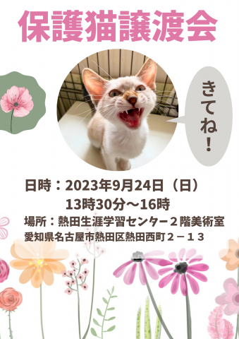 保護猫譲渡会猫暖房