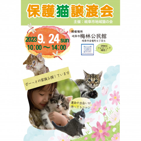 保護猫譲渡会@岐阜市