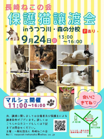 保護ねこ譲渡会&マルシェ inうつつ川･森の分校