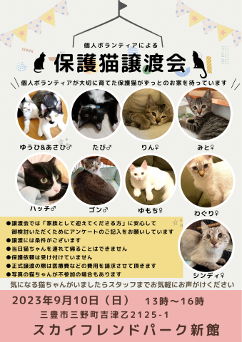 保護猫譲渡会