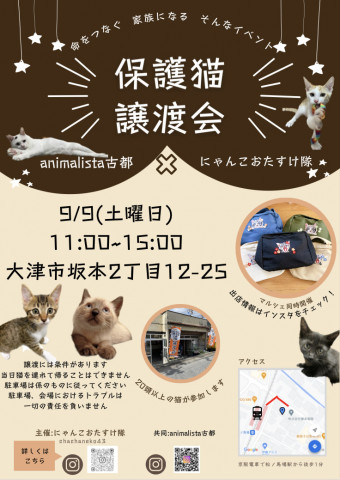 保護猫譲渡会　