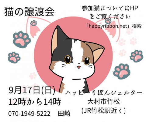 ハッピーりぼん保護猫譲渡会