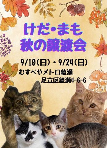 けだ・まも譲渡会