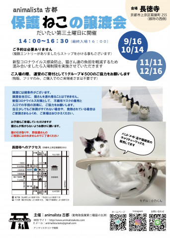 animalista古都　保護ねこの譲渡会