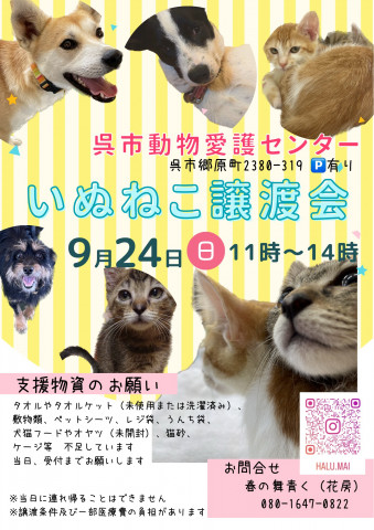 いぬねこ譲渡会