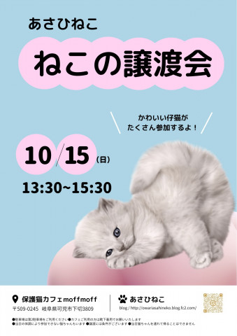 10月15日【ねこの譲渡会】in可児市