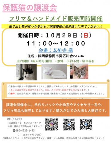 保護猫の譲渡会とフリマ＆ハンドメイド販売同時開催