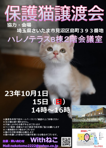 ♡ハレノテラス保護猫譲渡会♡さいたま市