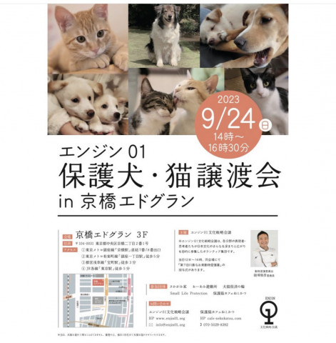 エンジン01保護犬猫譲渡会in京橋エドグラン