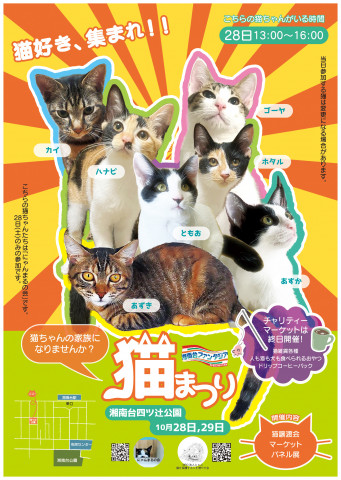 ★湘南台ファンタジア★猫の譲渡会