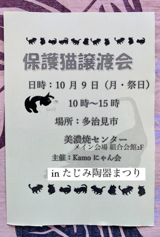 保護猫譲渡会 in 多治見陶器まつり