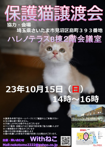 ♡ハレノテラス保護猫譲渡会♡さいたま市