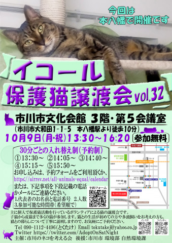 【千葉県市川市】40頭以上参加：イコール保護猫譲渡会vol.32