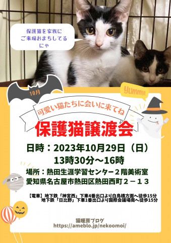 保護猫譲渡会猫暖房