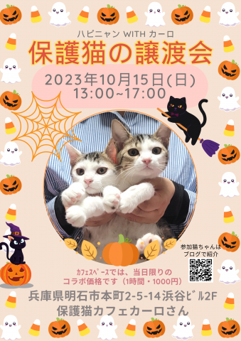 【明石】ハピニャン with カーロ　猫の譲渡会