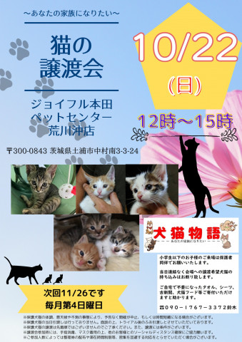 猫の譲渡会　あなたの家族になりたい　　