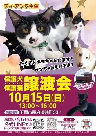 ディ・アンクの保護犬猫譲渡会