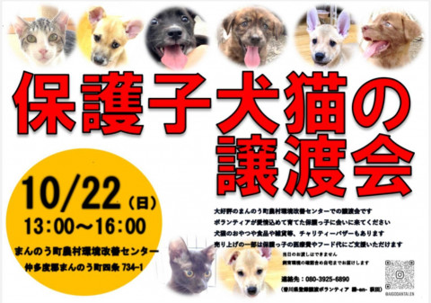 保護子犬猫の譲渡会