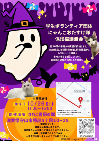 守山保護猫譲渡会＆マルシェ