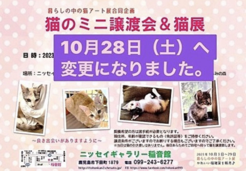 猫のミニ譲渡会&猫展