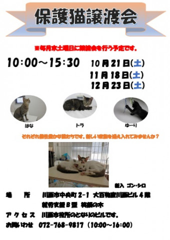 保護猫譲渡会