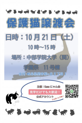 保護猫譲渡会 in 中部学院大学学園祭