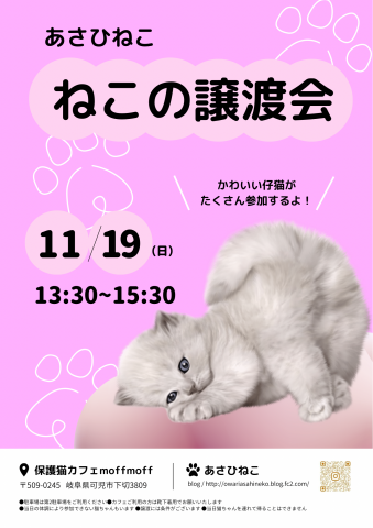 ※訂正※11月19日【ねこの譲渡会】in可児市