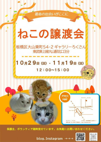 猫のあしあと　ねこの譲渡会