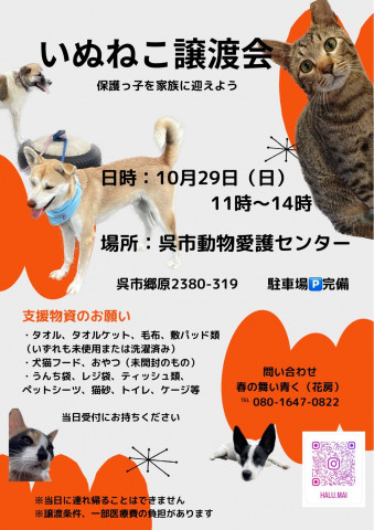 いぬねこ譲渡会