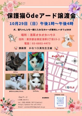 保護猫Ödeアード譲渡会